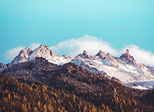 开云体育下载-俯冲西部第10？勇士近8场仅1胜！五连败之后仅领先开拓者0.5胜场